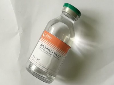 Buy Liquid Nembutals 50ml Online